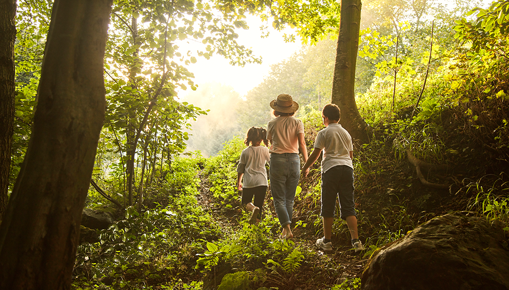 ¡VIAJES POR LA NATURALEZA! ¿QUÉ NO PODEMOS OLVIDAR ANTES DE ADENTRARNOS EN SITIOS DONDE EL VERDE REINA SOBERANO? ¡VAMOS A AVERIGUARLO!-news-image