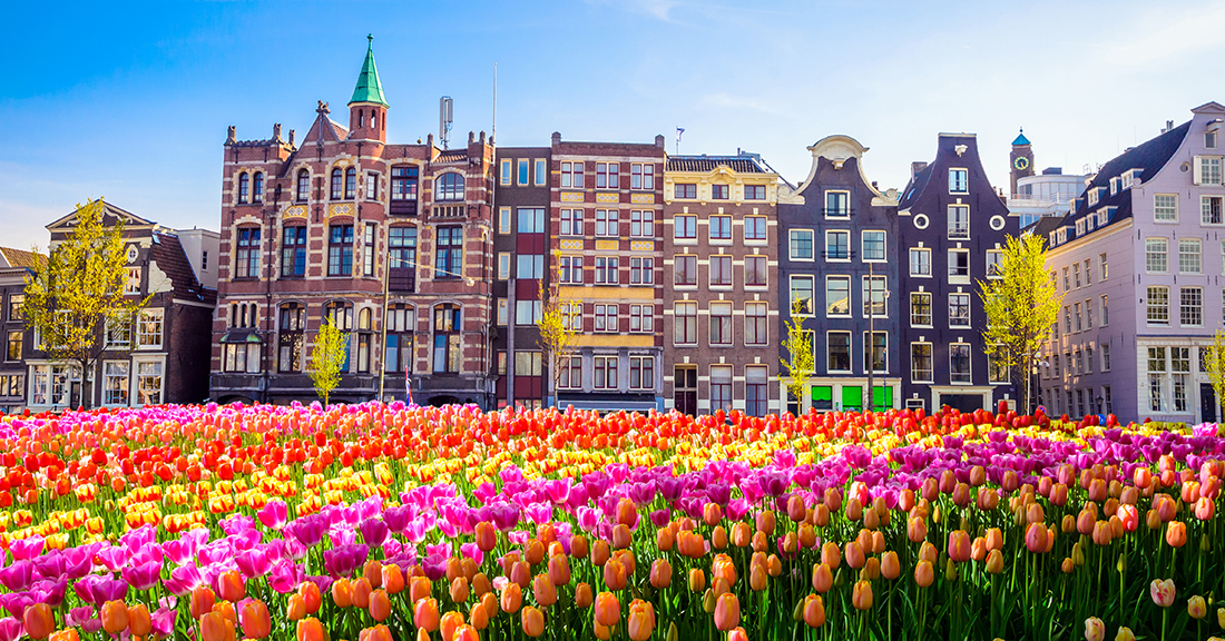 ONTDEK NEDERLAND: OP REIS NAAR DE MOOISTE TULPEN VAN DE WERELD-news-image