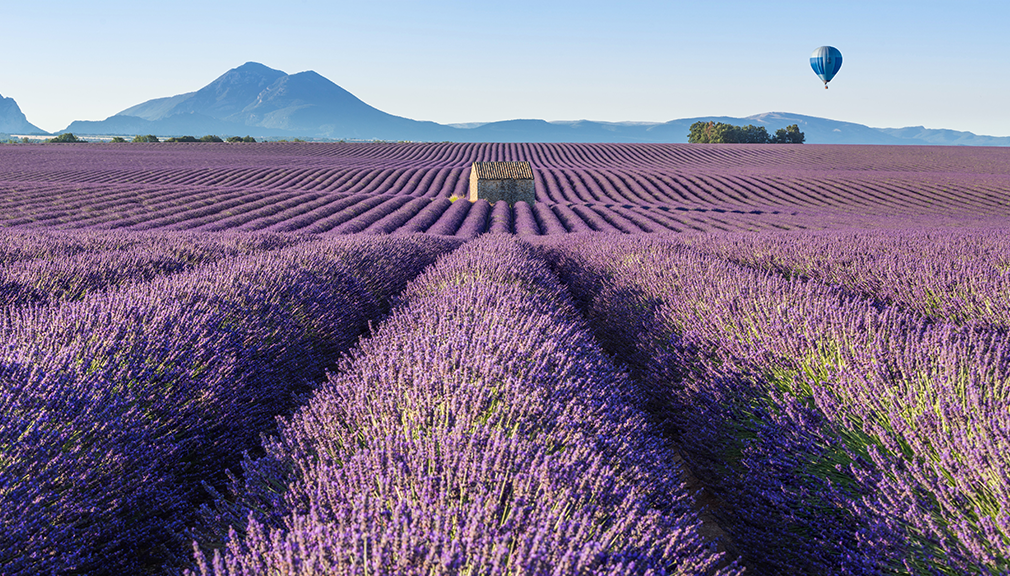 BITTE ALLE EINSTEIGEN:ABFAHART IN DIE PROVENCE !-news-image