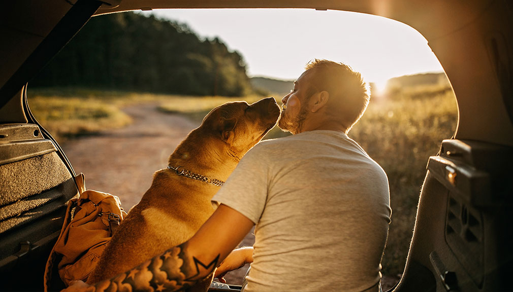 IN VIAGGIO CON I NOSTRI ANIMALI? ECCO QUALCHE UTILE CONSIGLIO PRIMA DI PARTIRE!-news-image